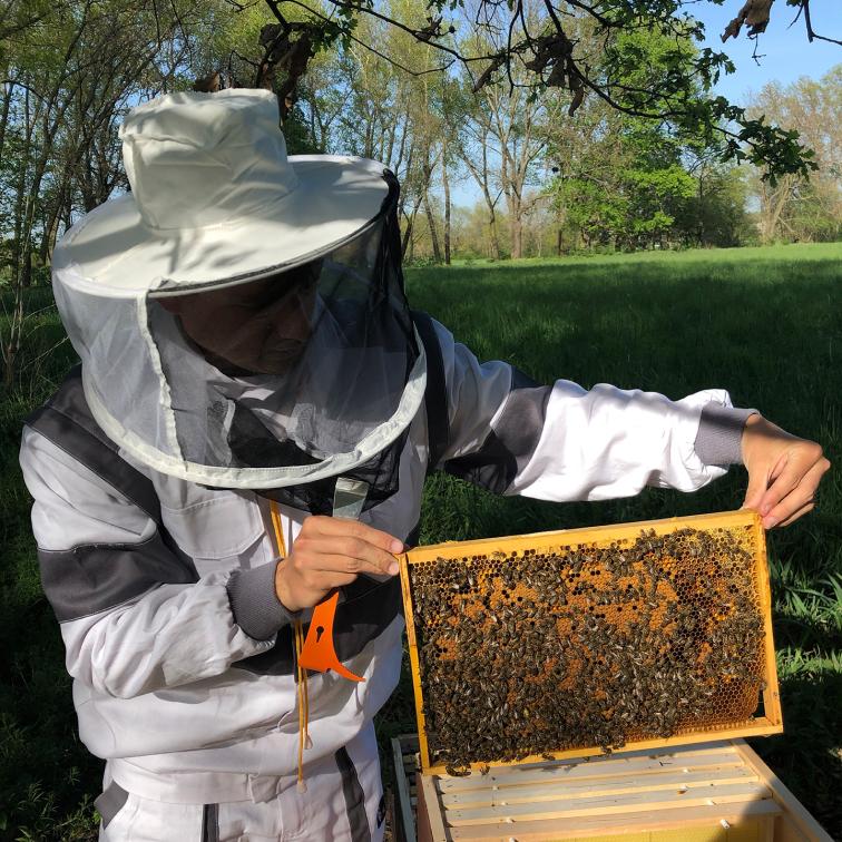 Smart Beekeeper